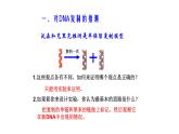 3.3 DNA的复制 -【探究课堂】高一生物同步优质课件（人教版2019必修2）