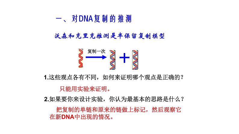 3.3 DNA的复制 -【探究课堂】高一生物同步优质课件（人教版2019必修2）第4页