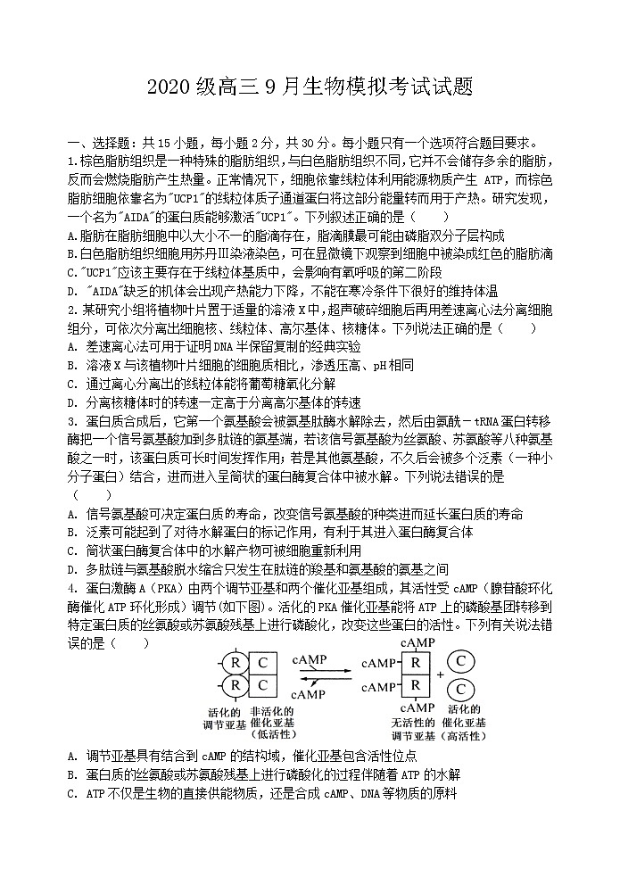 2023潍坊高密三中高三上学期9月月考生物试题含答案01