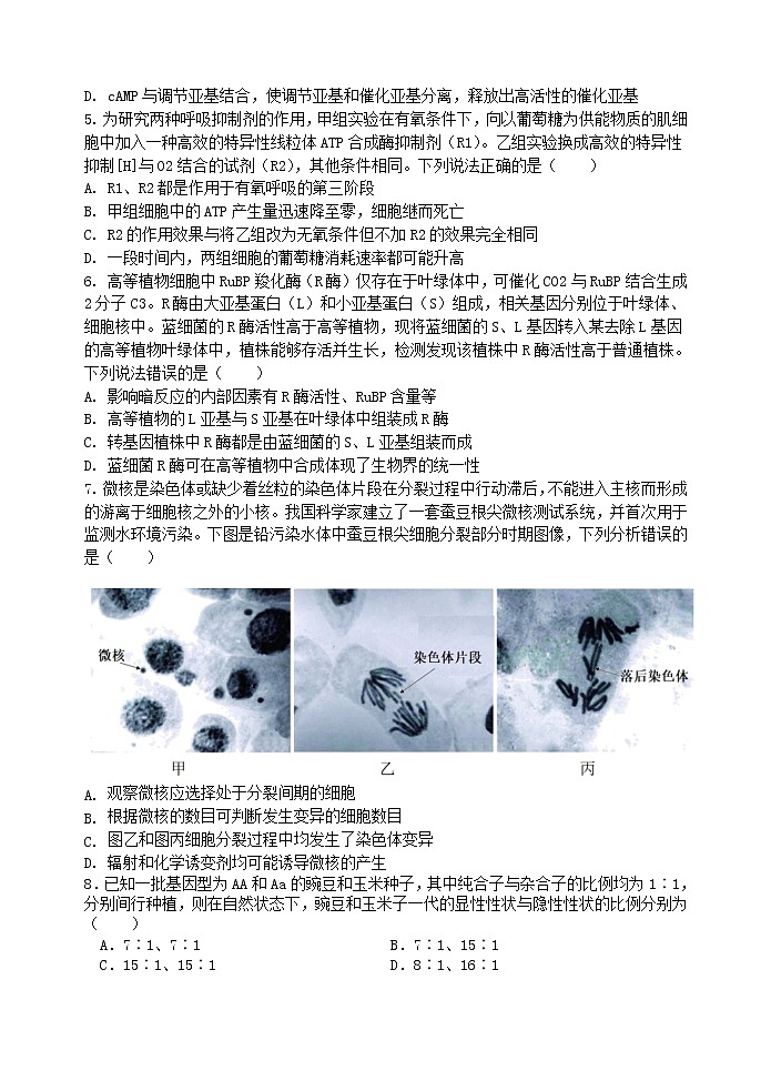 2023潍坊高密三中高三上学期9月月考生物试题含答案02