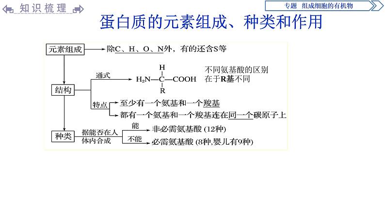 高中生物必修一 第2章《本章综合与测试》集体备课课件07