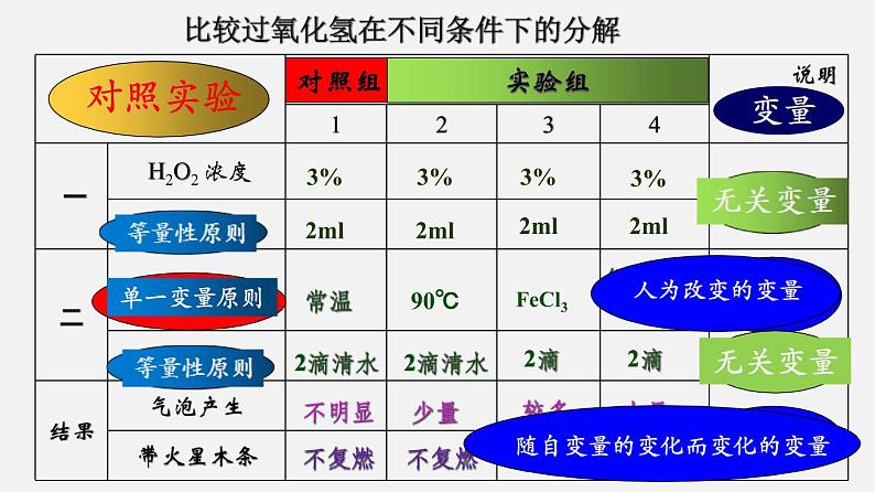 高中生物必修一 《第1节 降低化学反应活化能的酶》多媒体精品课件08