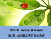 高中生物必修一 第3章《本章综合与测试》名师优质课课件