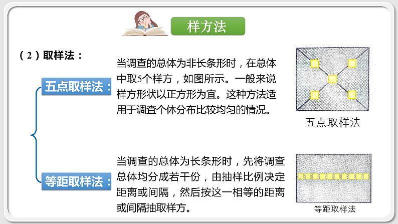 第一章：第1节：种群的数量特征 课件08