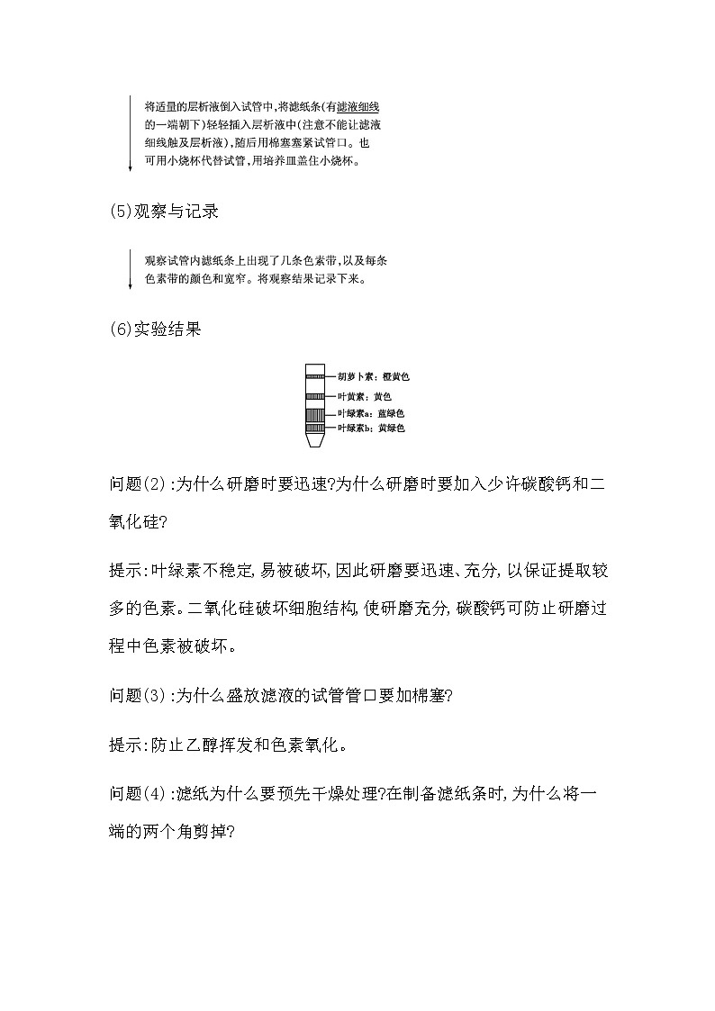 人教版高中生物必修1分子与细胞第5章细胞的能量供应和利用课时学案03