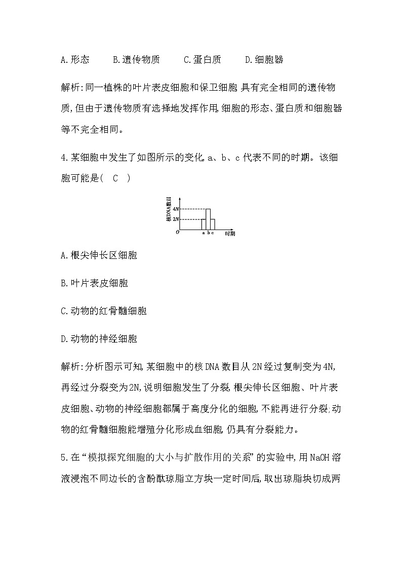 浙科版高中生物必修1分子与细胞第四章细胞的生命历程章末检测含答案02