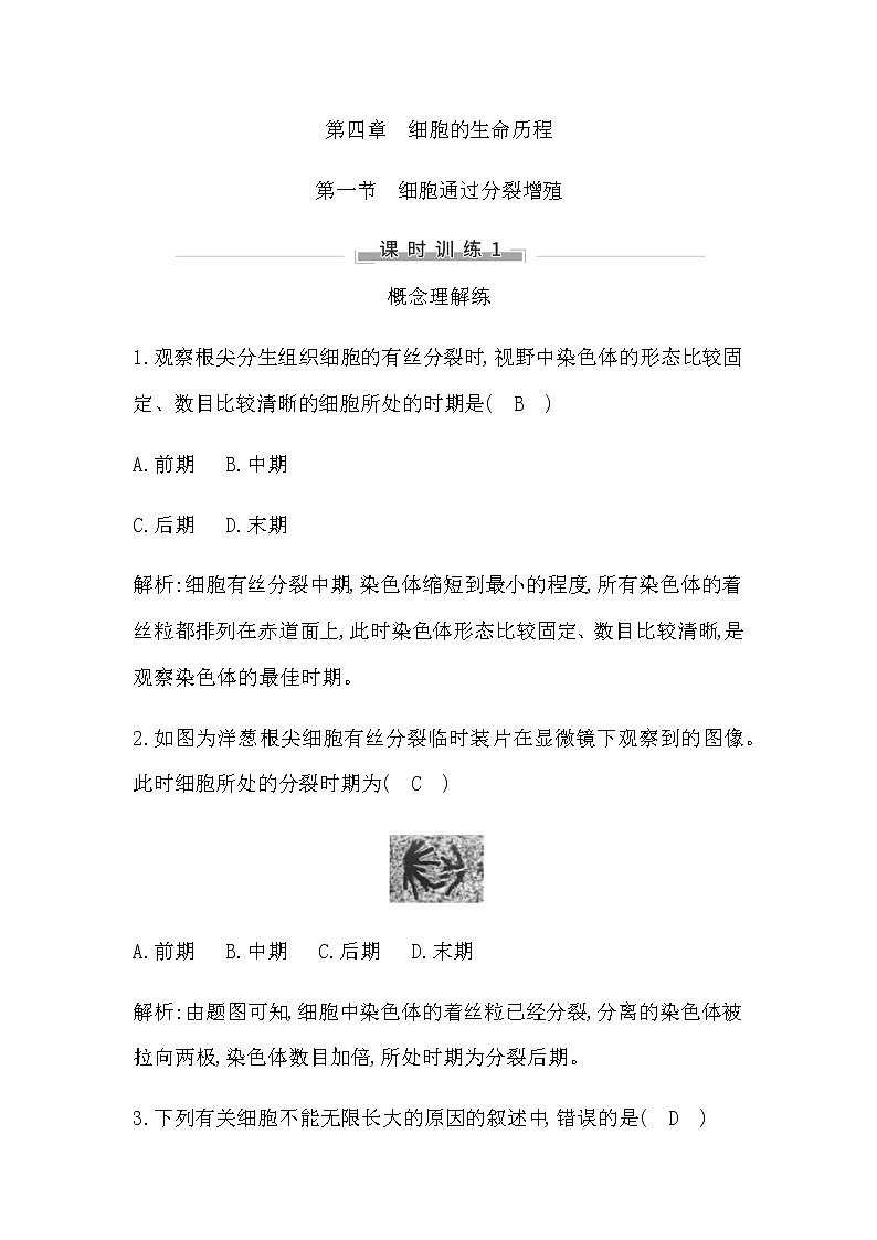 课时训练1第1页