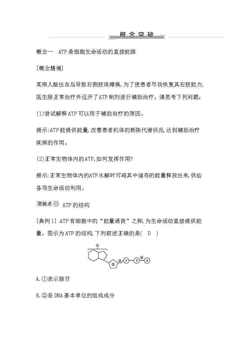 浙科版高中生物必修1分子与细胞第三章细胞的代谢学案03