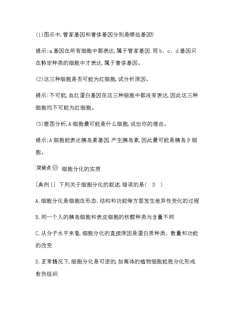 浙科版高中生物必修1分子与细胞第四章细胞的生命历程学案03