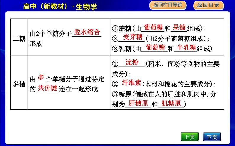 浙科版高中生物必修1分子与细胞第一章细胞的分子组成课时PPT课件06