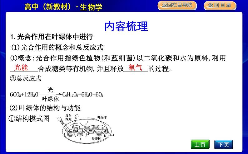 浙科版高中生物必修1分子与细胞第三章细胞的代谢课时PPT课件05