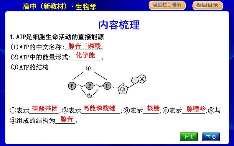 浙科版高中生物必修1分子与细胞第三章细胞的代谢课时PPT课件04