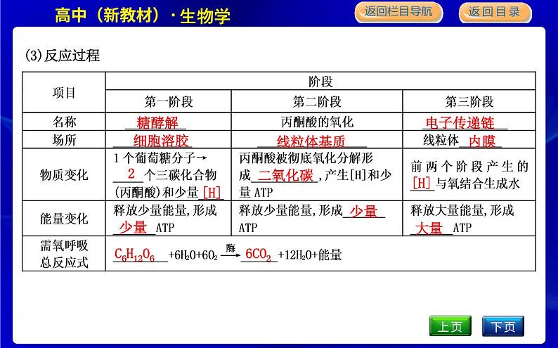 浙科版高中生物必修1分子与细胞第三章细胞的代谢课时PPT课件06
