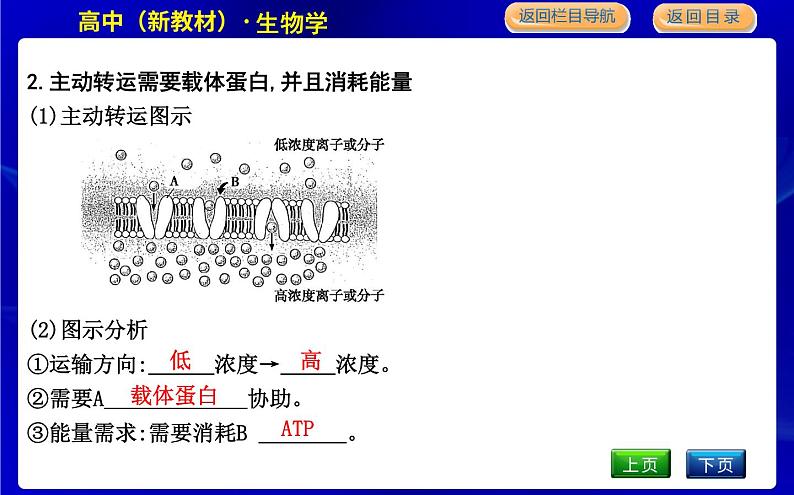 浙科版高中生物必修1分子与细胞第三章细胞的代谢课时PPT课件08