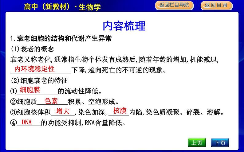 浙科版高中生物必修1分子与细胞第四章细胞的生命历程课时PPT课件04