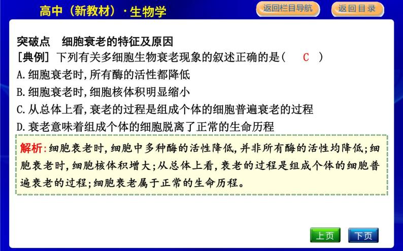 浙科版高中生物必修1分子与细胞第四章细胞的生命历程课时PPT课件08