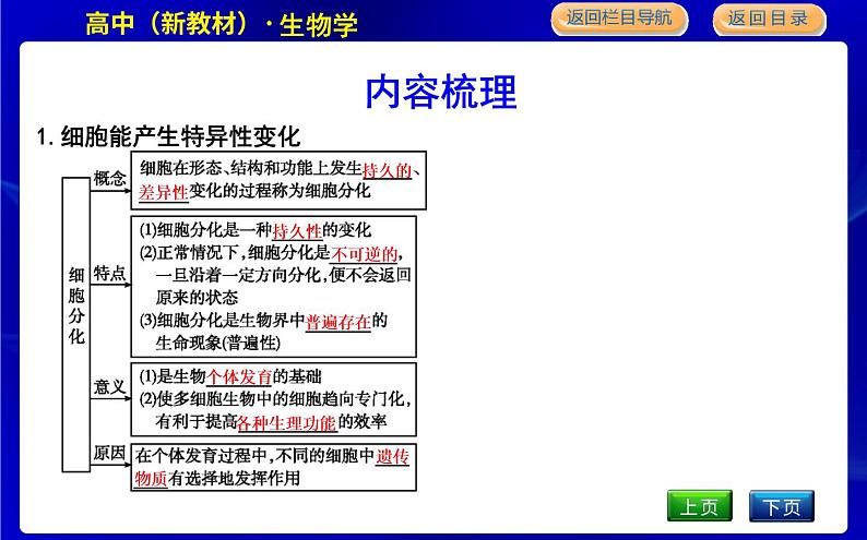 浙科版高中生物必修1分子与细胞第四章细胞的生命历程课时PPT课件04