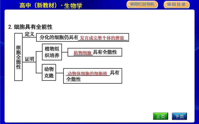 浙科版高中生物必修1分子与细胞第四章细胞的生命历程课时PPT课件05