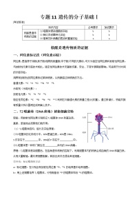 专题11 遗传的分子基础(学生版)修改版