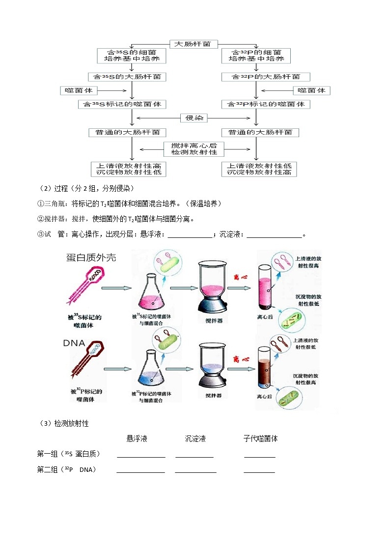专题11 遗传的分子基础(学生版)修改版第2页
