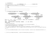 专题11 遗传的分子基础(学生版)修改版