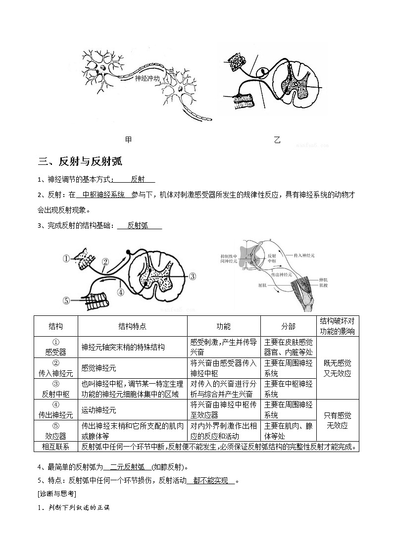 专题21 神经调节教师版第2页