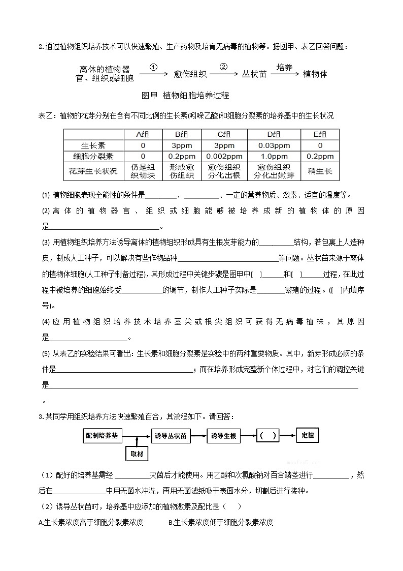 专题31 浅尝现代生物技术 植物的组织培养(选修1)学生版第3页