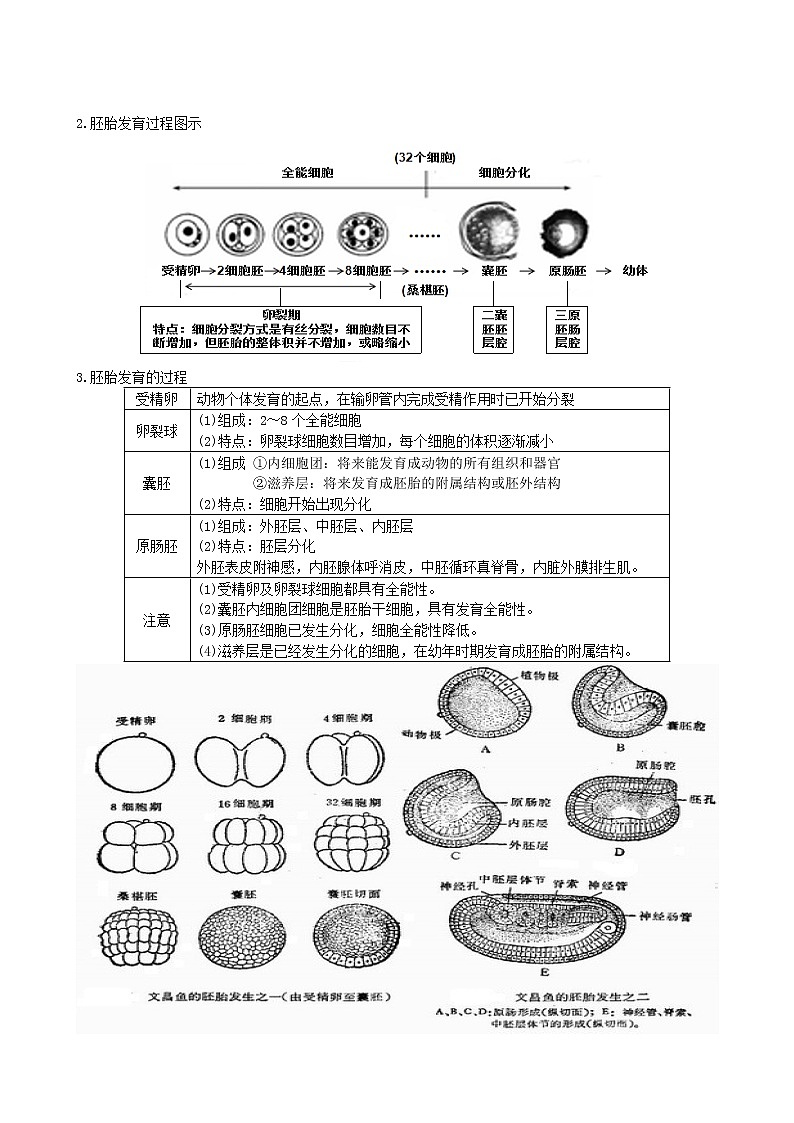 专题34 胚胎工程(选修3)学生版第2页