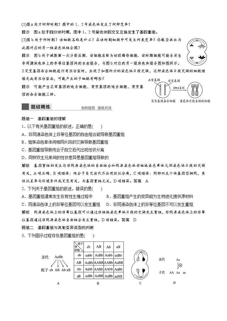 专题15 生物变异的来源教师版第2页