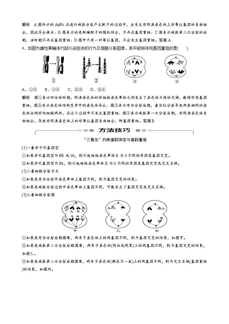 专题15 生物变异的来源教师版第3页