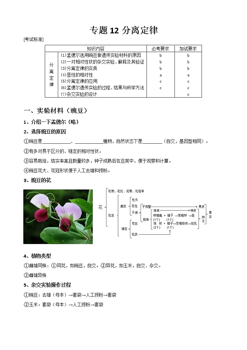 专题12 基因的分离定律学生版第1页