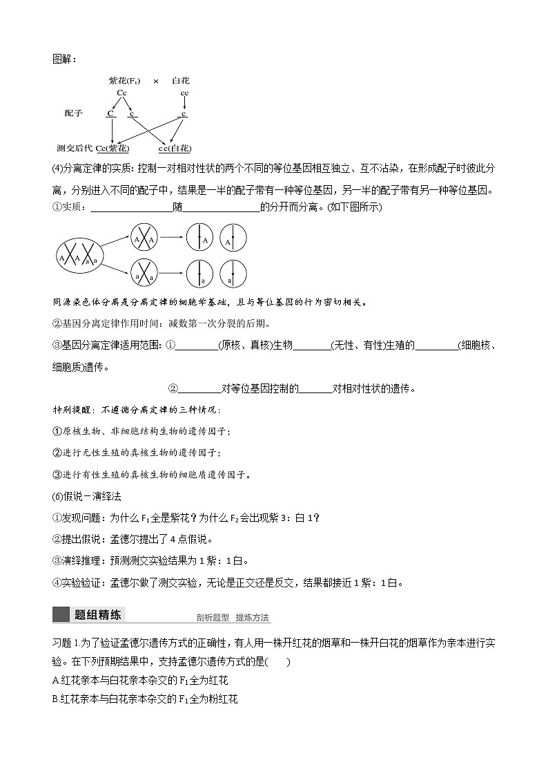 专题12 基因的分离定律学生版第3页