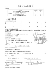 专题7 光合作用学生版