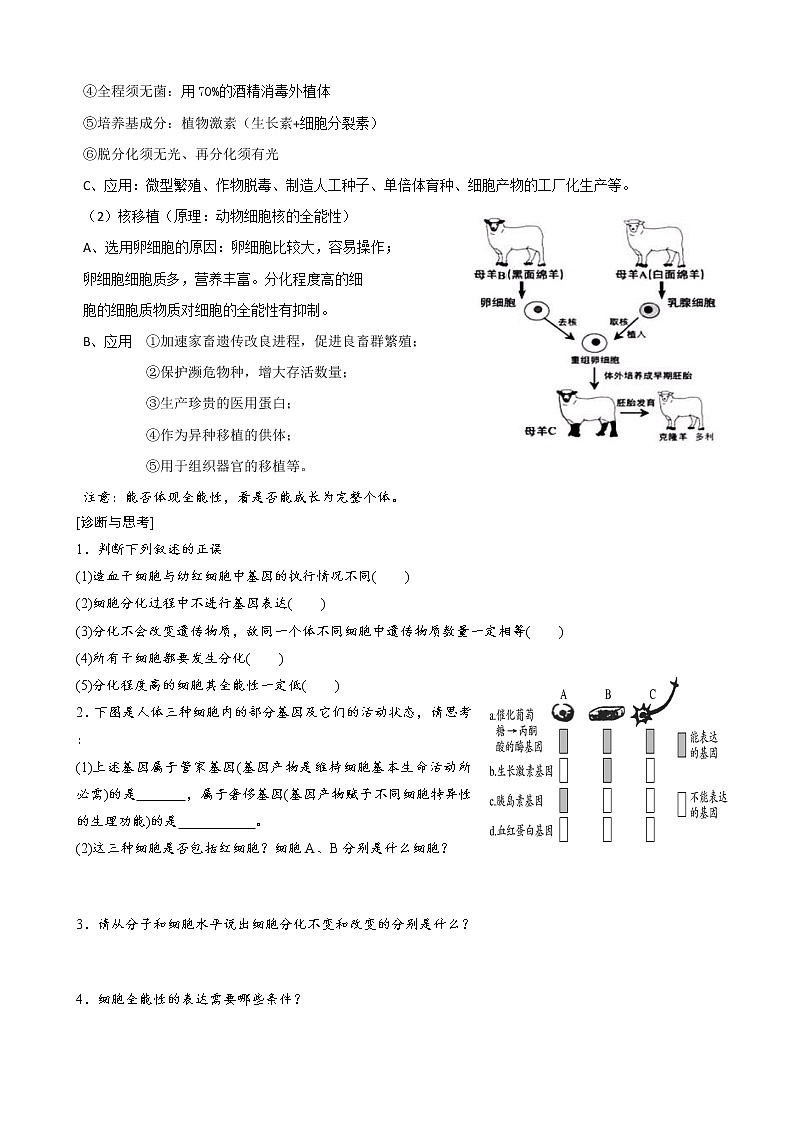 专题9 细胞的分化、衰老、凋亡学生版第3页