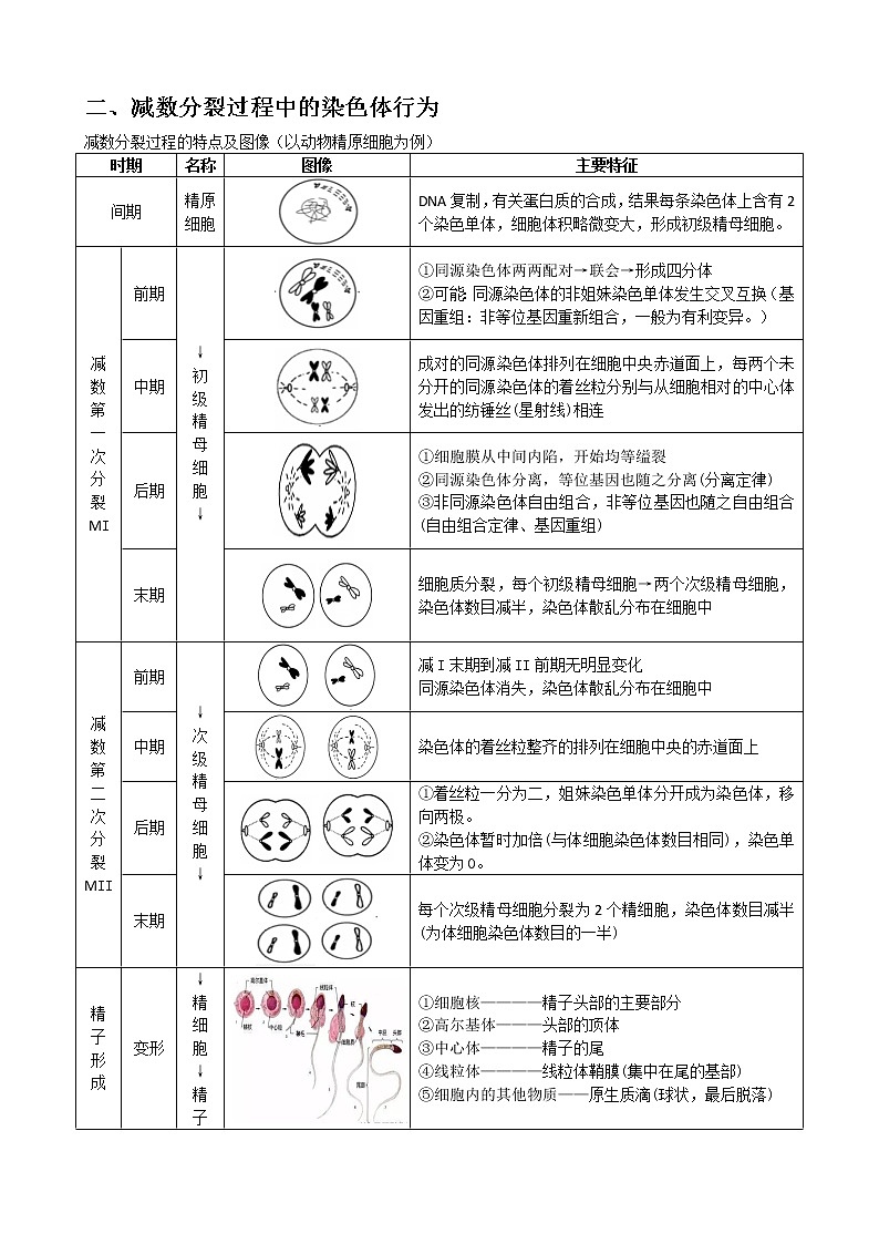 专题10 减数分裂教师版第2页
