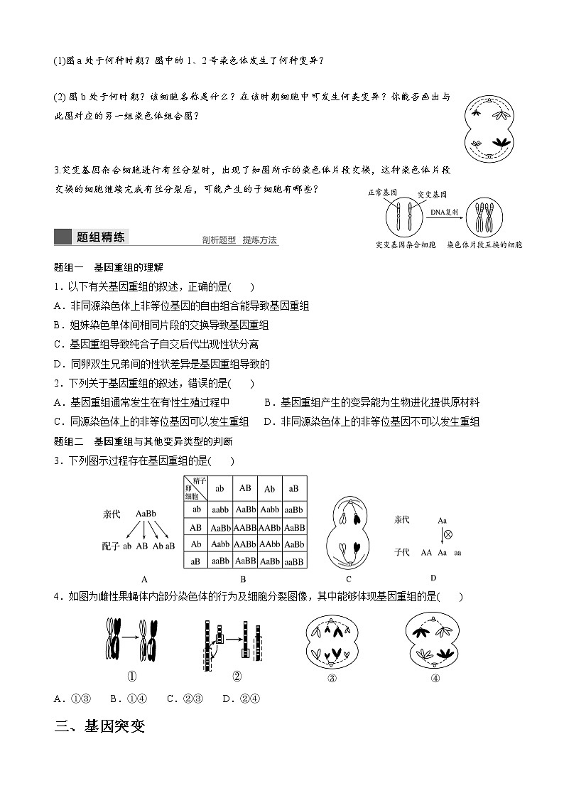 专题15 生物变异的来源学生版第2页