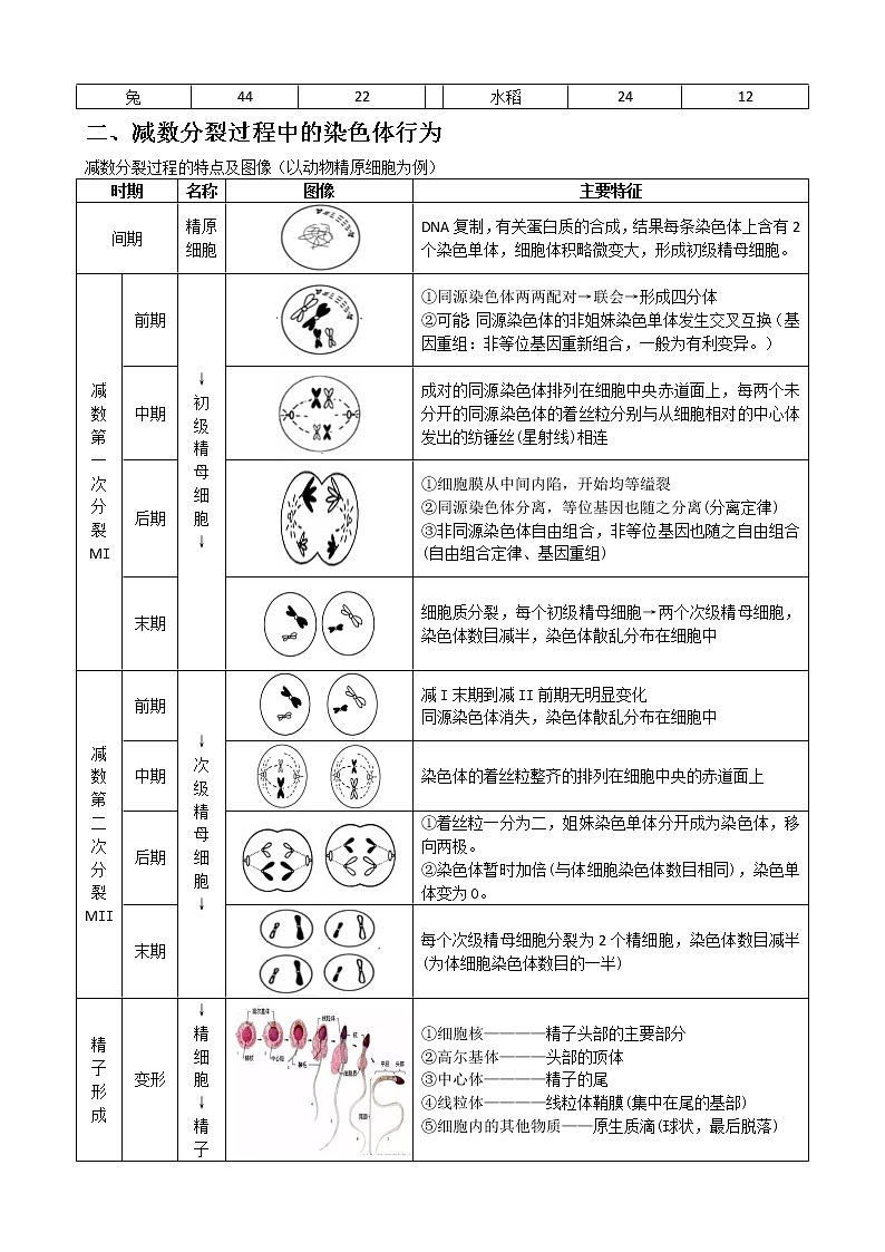 专题10 减数分裂学生版02