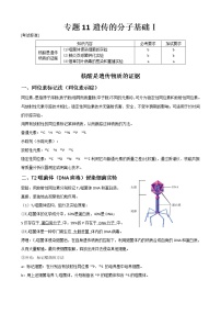 专题11 遗传的分子基础(教师版)修改版