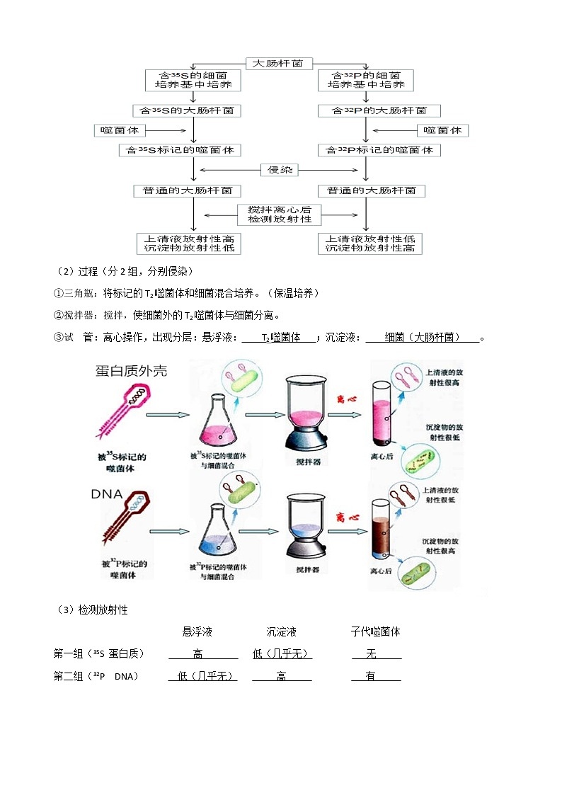 专题11 遗传的分子基础(教师版)修改版第2页
