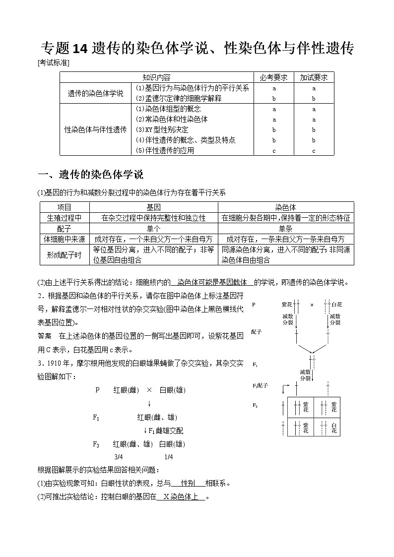 专题14 遗传的染色体学说、性染色体与伴性遗传教师版第1页