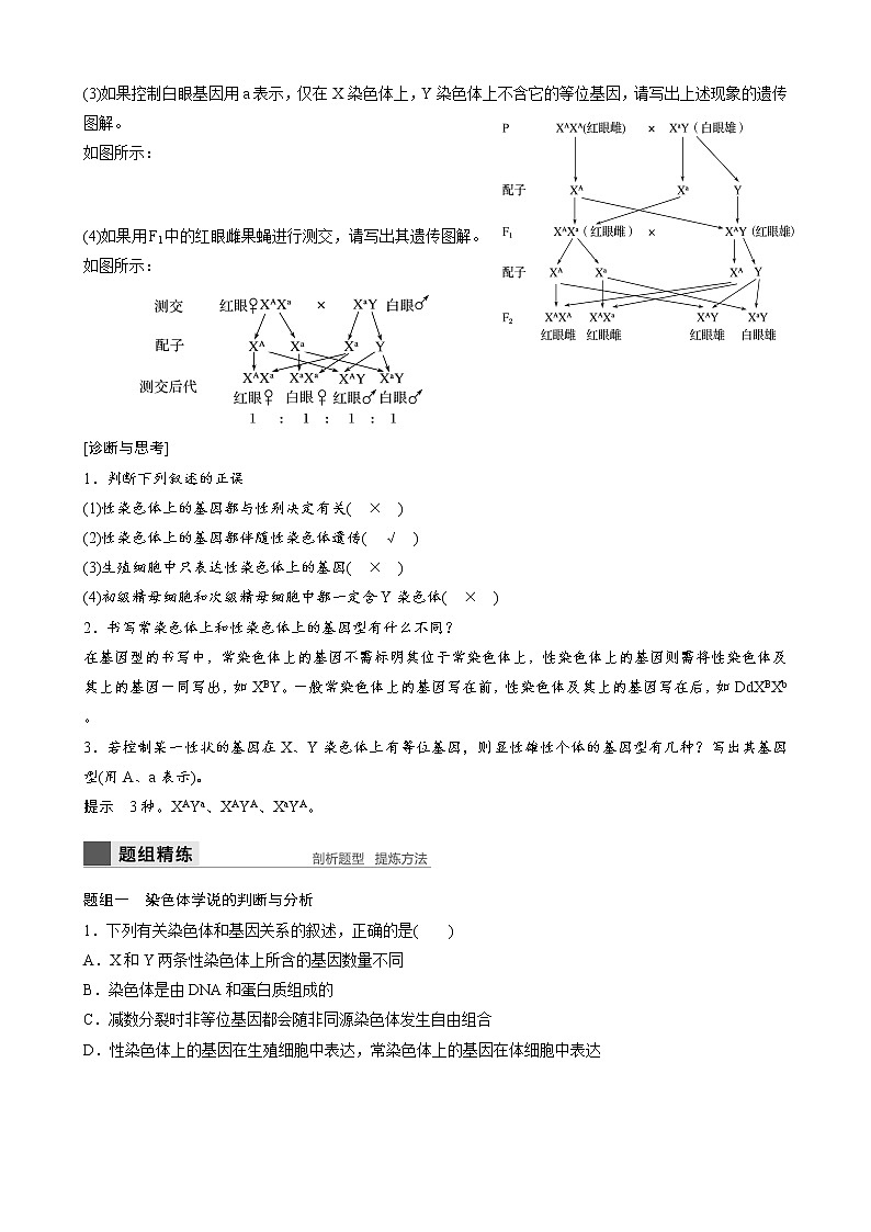 专题14 遗传的染色体学说、性染色体与伴性遗传教师版第2页