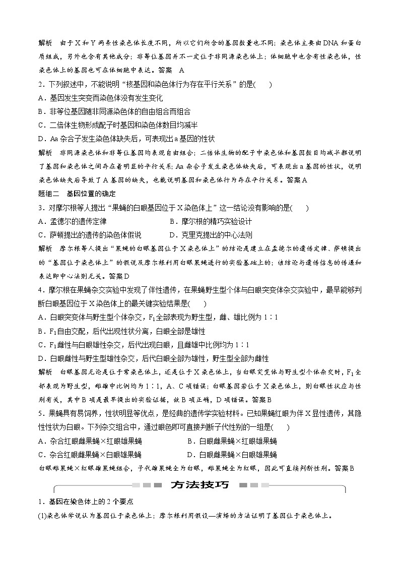 专题14 遗传的染色体学说、性染色体与伴性遗传教师版第3页