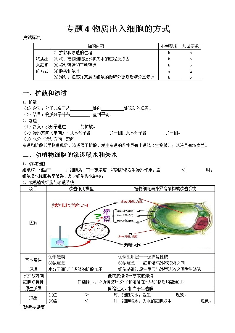 专题4 物质出入细胞的方式(学生版)修改版第1页