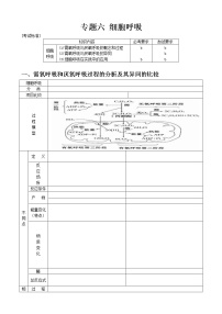 专题6 细胞呼吸学生版