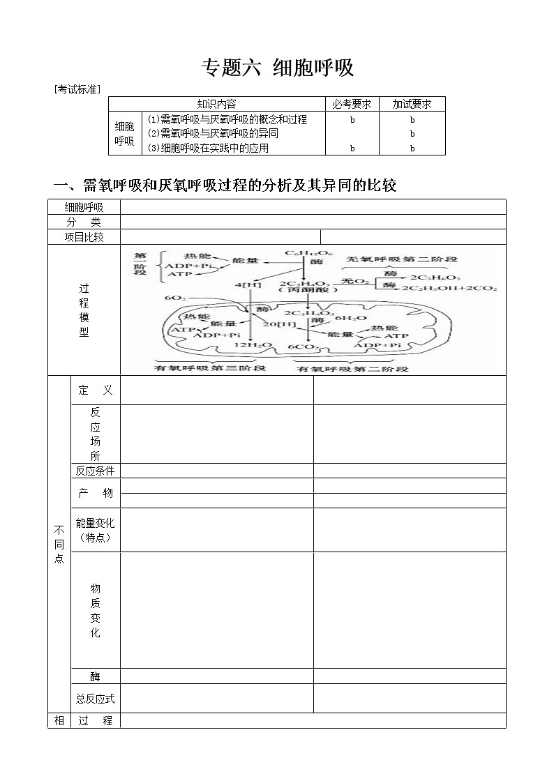 专题6 细胞呼吸学生版第1页
