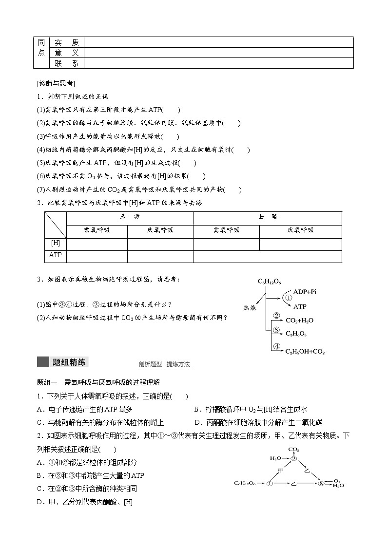 专题6 细胞呼吸学生版第2页
