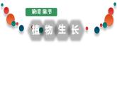第五章：第1节：植物生长课件高中生物人教选择性必修一
