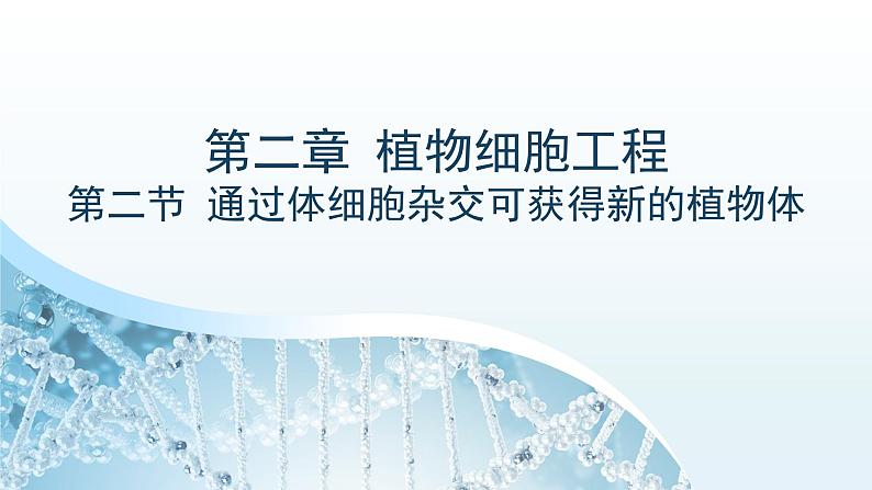 2.2通过体细胞杂交可获得新的植物体  浙科版（2019）高中生物选择性必修3第1页