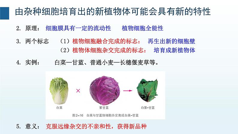 2.2通过体细胞杂交可获得新的植物体  浙科版（2019）高中生物选择性必修3第6页