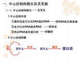 4.2基因对性状的控制课件-2021-2022学年高一下学期生物人教版必修2